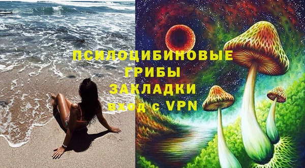 PSILOCYBIN Баксан